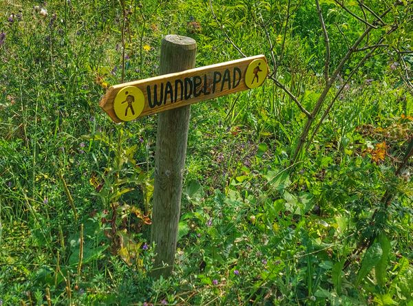 Een houten bord met de tekst 'Wandelpad', geplaatst in een groene omgeving vol met wilde bloemen en gras.